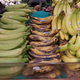 Plantains and bananas